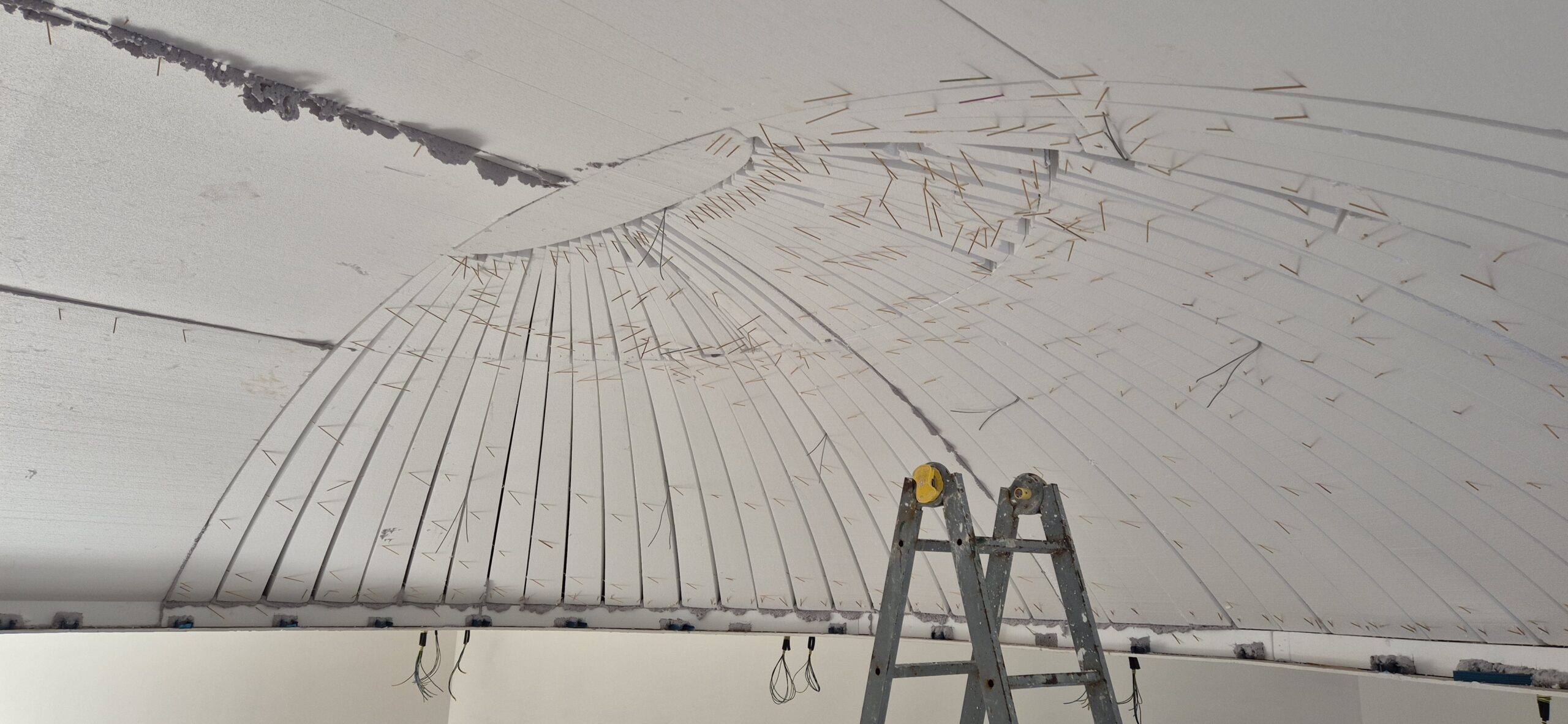 20241214_132547 20241214_132547